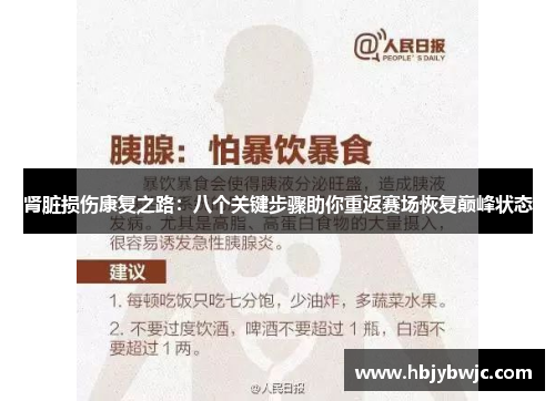 肾脏损伤康复之路：八个关键步骤助你重返赛场恢复巅峰状态
