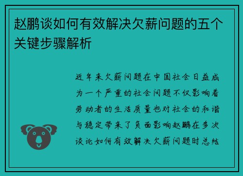 赵鹏谈如何有效解决欠薪问题的五个关键步骤解析