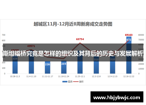 斯坦福桥究竟是怎样的组织及其背后的历史与发展解析